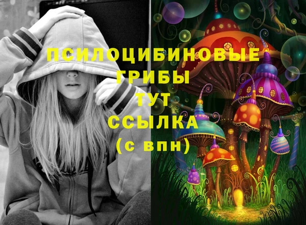 дурь Алексин