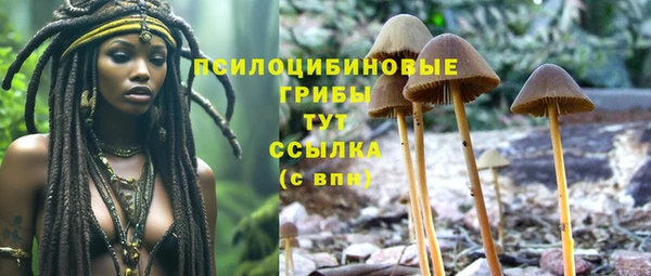 дурь Алексин