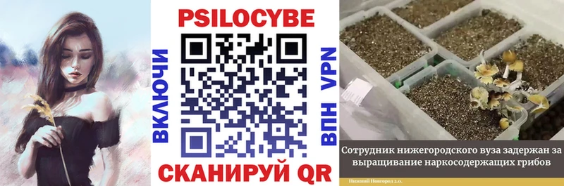 OMG ссылка  Десногорск  Галлюциногенные грибы Psilocybine cubensis  купить наркотик 