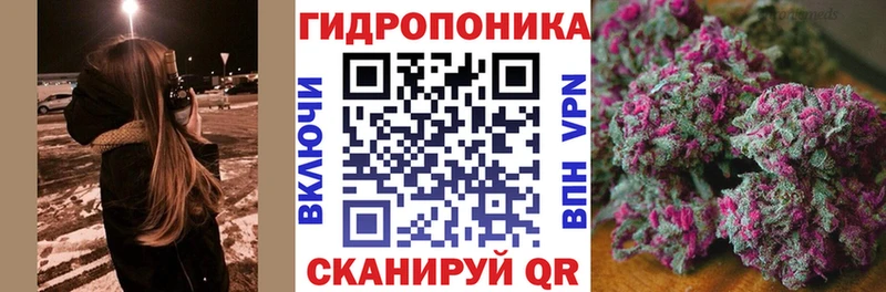 Шишки марихуана планчик  blacksprut онион  маркетплейс наркотические препараты  закладки  Десногорск 